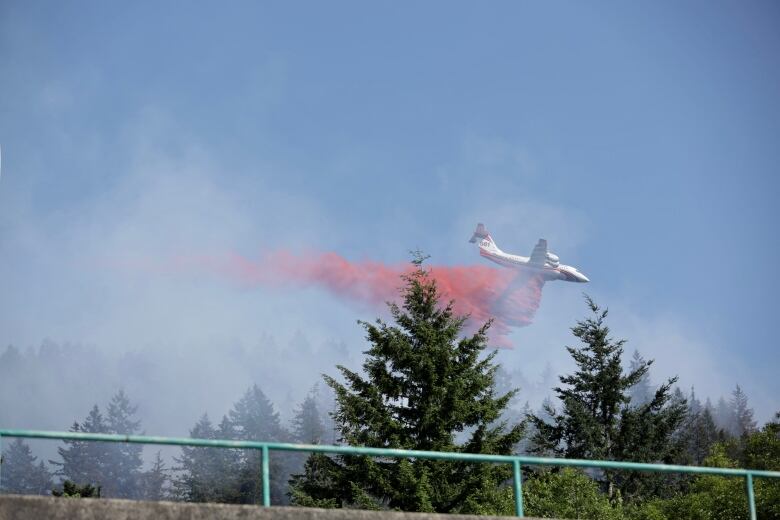 A plane with red detailing drops red water amid smoky conditions.