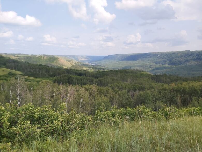 A photo of a pristine landscape shows undulating hills and trees, in the traditional territory of the Blueberry River First Nations, before the Donnie Creek fire. 