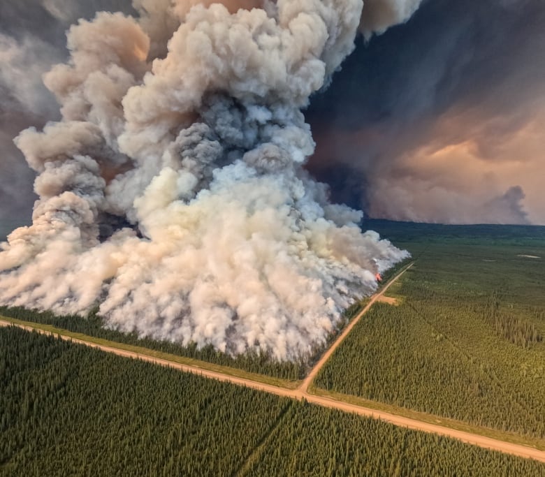 A large wildfire burns in a square plot of land.