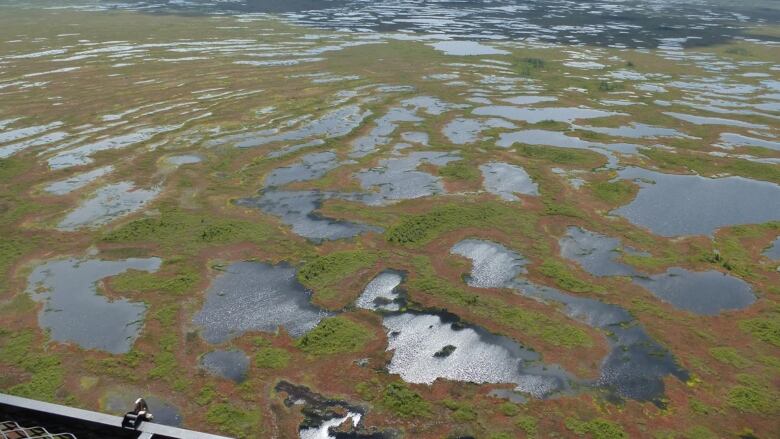 An aerial view of wetlands.