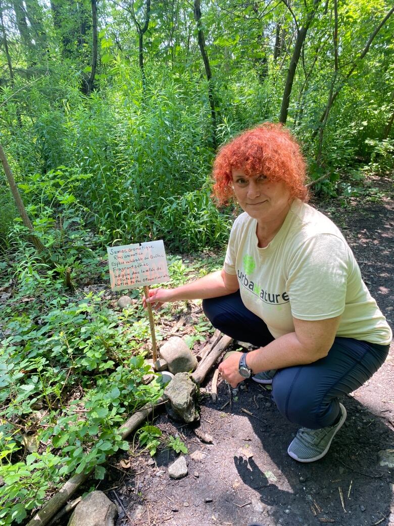 A woman with pink curly hair squats in a forested area holding a hand-lettered sign with information about a local plant called Sumac.