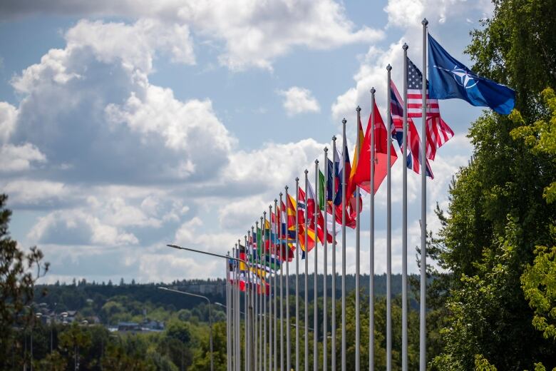 A line of flags are seen.