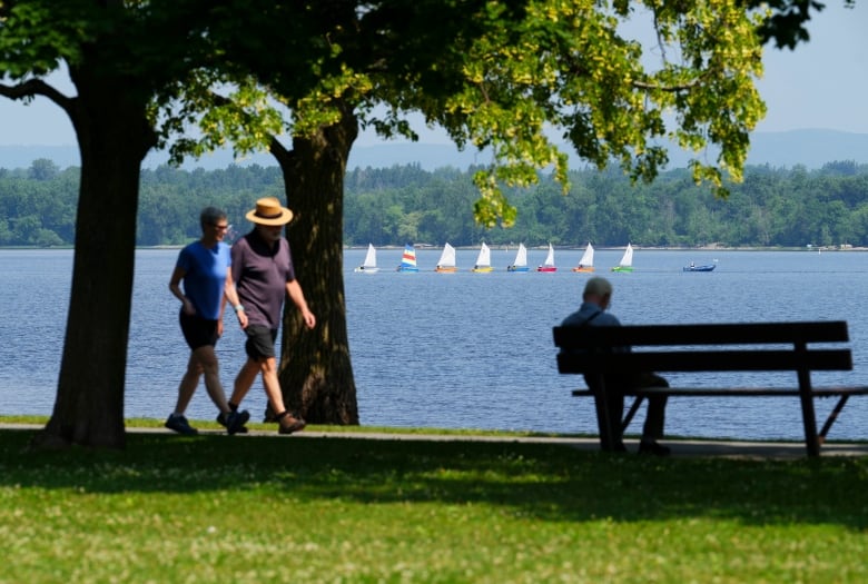 People walk on a path and sit on a bench on the side of a river. There are colourful sailboats on the river.