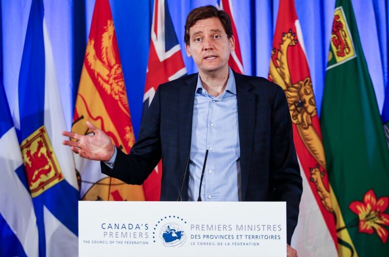 A man in suit speaks behind a podium and in front of a number of flags.