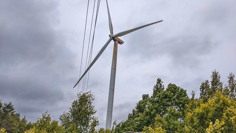 A wind turbine against a grey sky, with trees below.