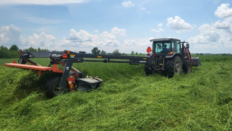 A large harvesting machine in a field of grass