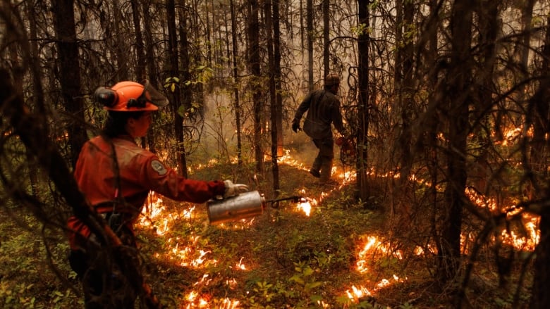 Two people in a vividly fiery image uses a torch to set more fire in a forest.