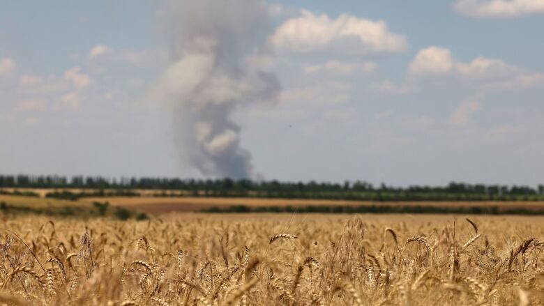 A wheatfield is shown from ground level, with a large cloud of smoke from an explosion shown in the sky in the background.