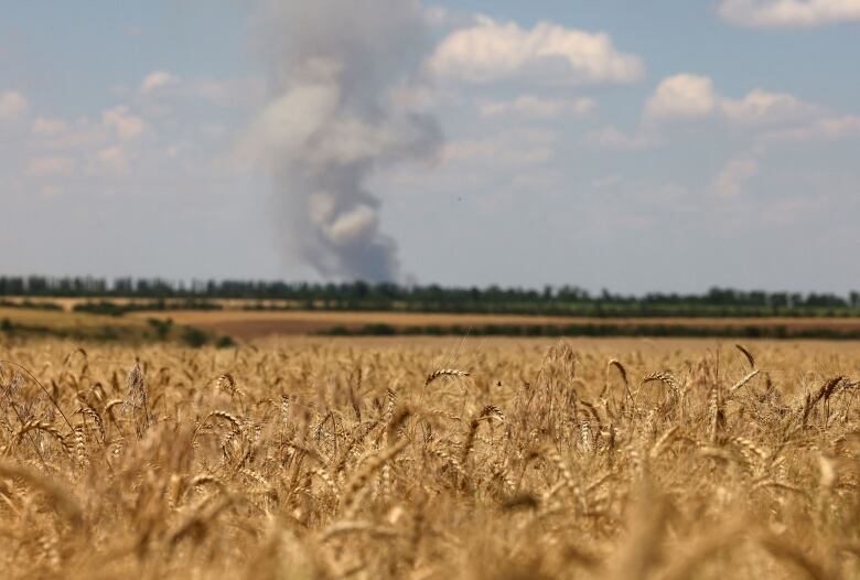 A wheatfield is shown from ground level, with a large cloud of smoke from an explosion shown in the sky in the background.