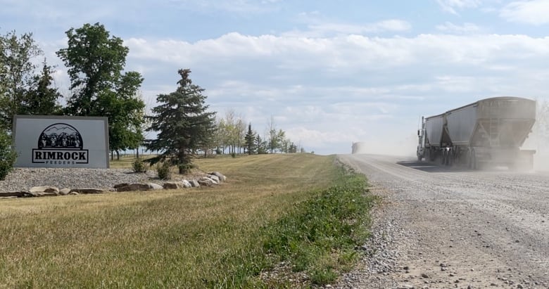 The picture shows two trucks driving into the Rimrock Feeders Inc. feedlot near High River, Alta.