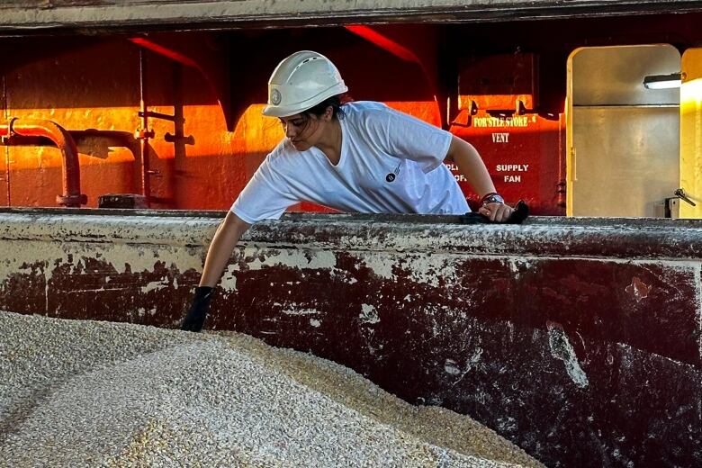 A person wearing a hard hat reaches over the side of a cargo container to inspect the grain inside.