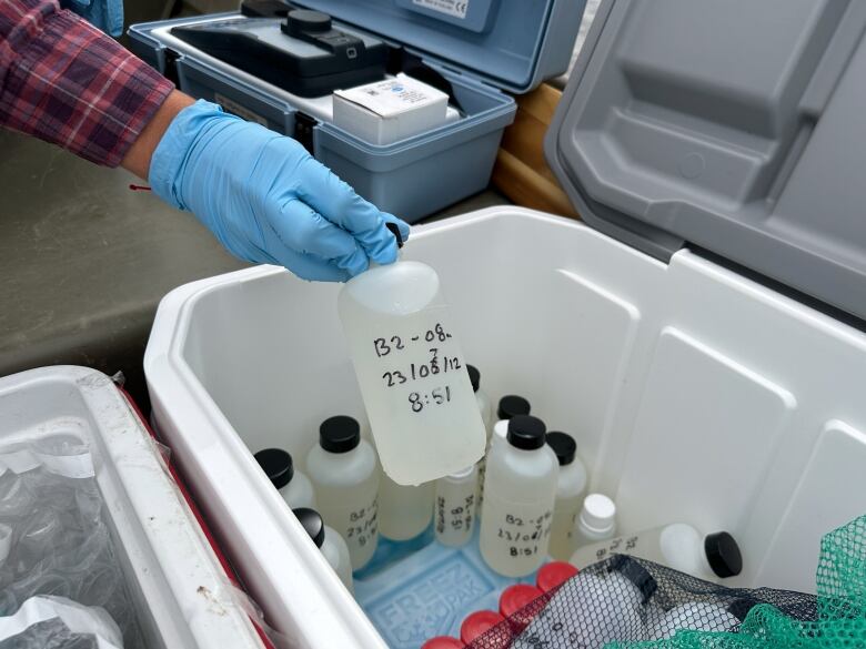 A blue-gloved hand holds a small water bottle labeled with 