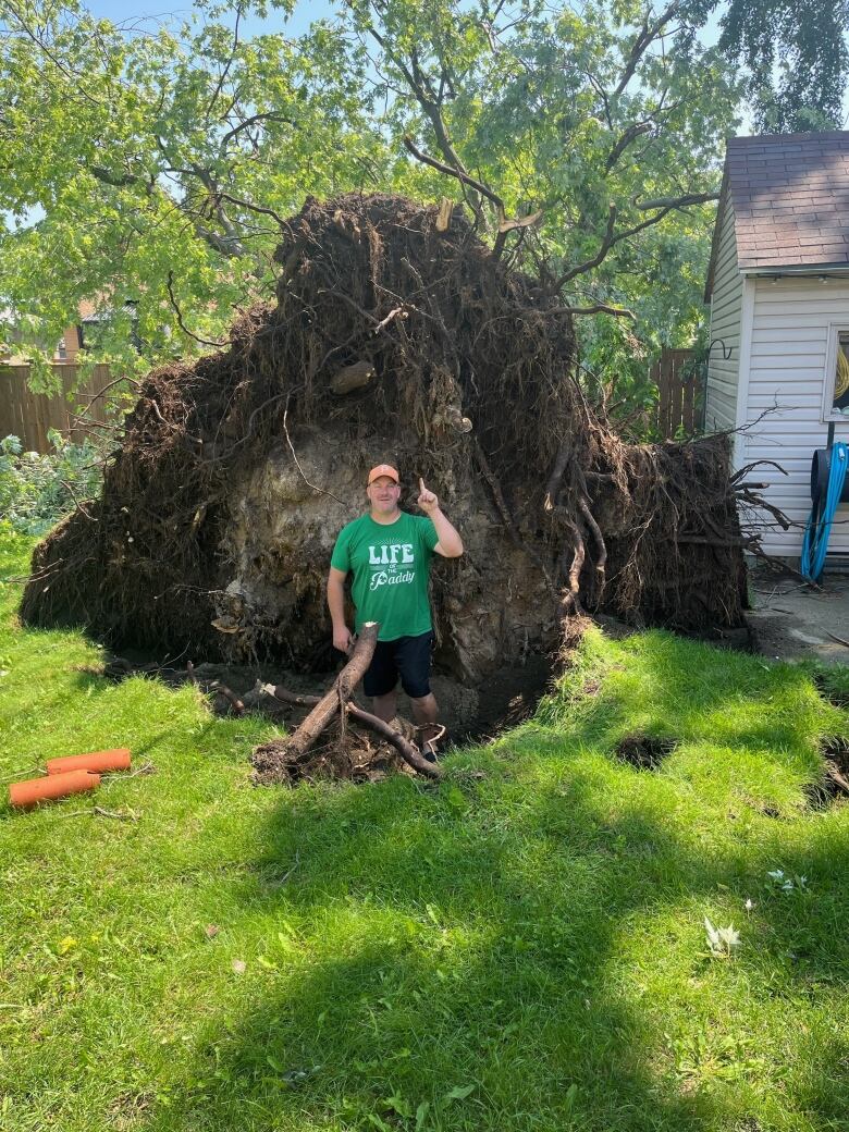 A man stands in a hold caused by an overturned tree