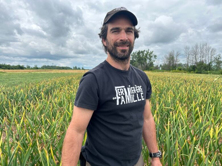 Man stands in garlic field.