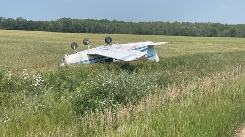 A small airplane sits upside down in a field.