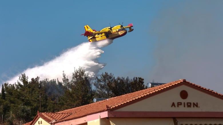 A an airborne red and yellow prop plane dumps water on trees. A building is visible in the foreground.