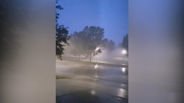 Trees thrash in the rain during the July 24 storm in Drayton Valley.