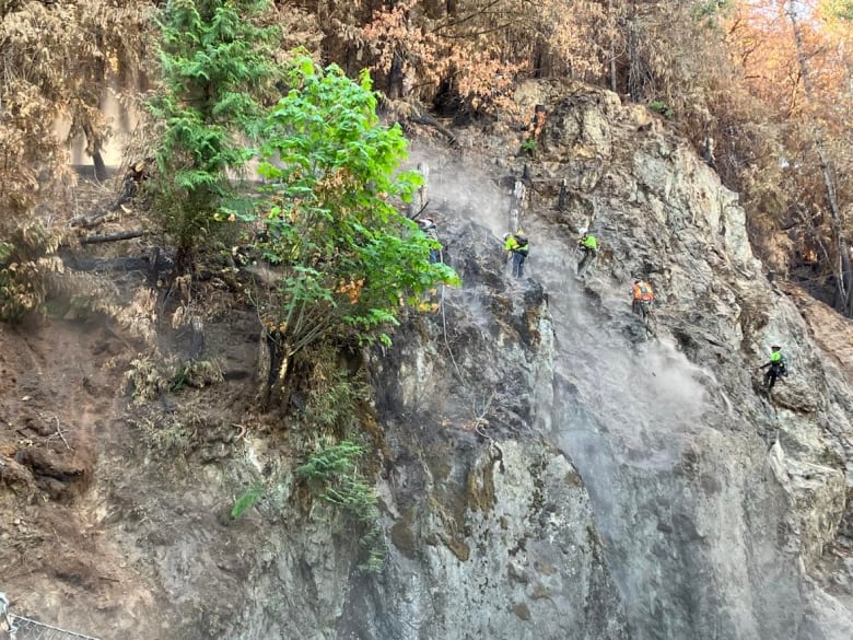 Workers scaling a cliff face on ropes.