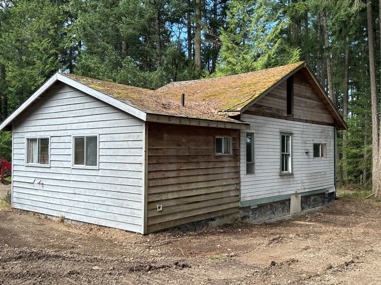 A decades-old, grey cabin with moss on the roof on the edge of a tall forest.