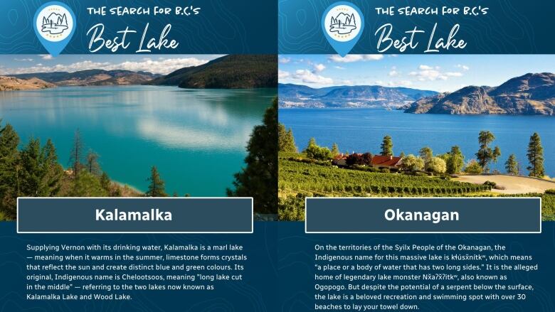 A composite of photos featuring B.C. Lakes Kalamalka, to the left, and the Okanagan. 