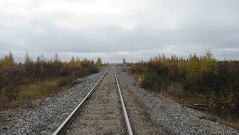 A rail line is seen in a tundra landscape.