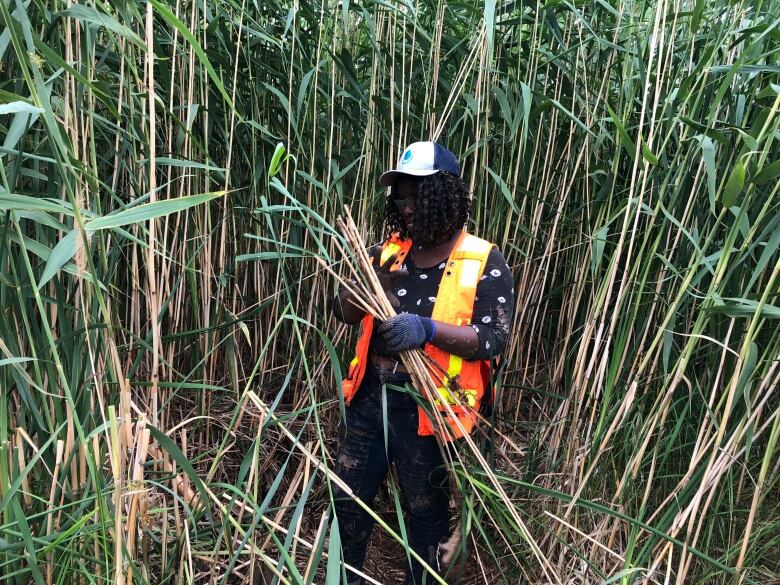 A woman with curly black hair holding a pile of a long, brownish grass. She is surrounded by tall grass, taller than her.