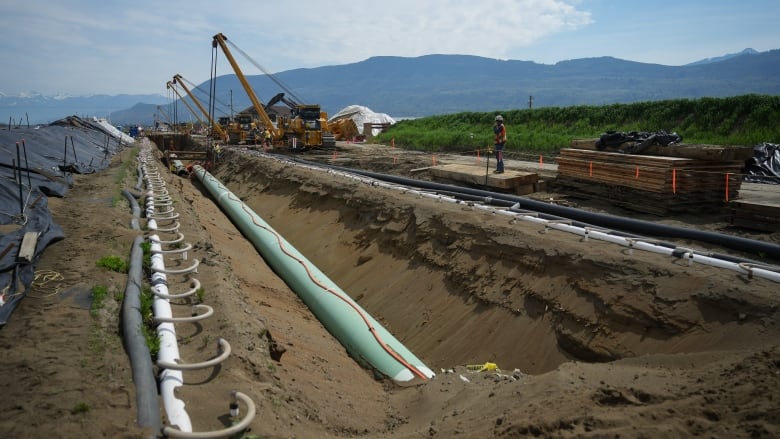 A wide shot of a pipeline in a trench with heavy cranes above and beside it leading toward distant mountains under a pale blue sky streaked with clouds.