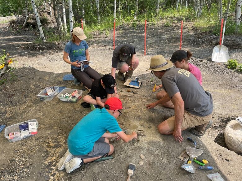 A group of people kneel on the ground and use tools to expose fossils in the ground.