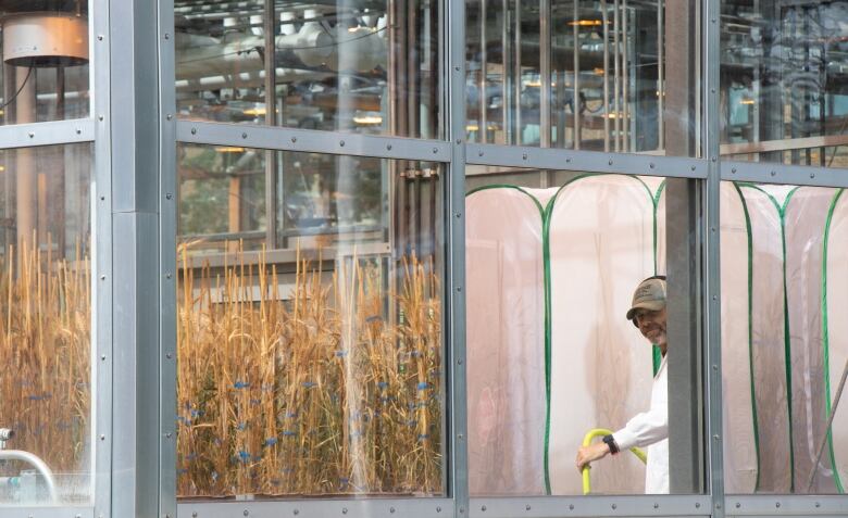 A man in a greenhouse