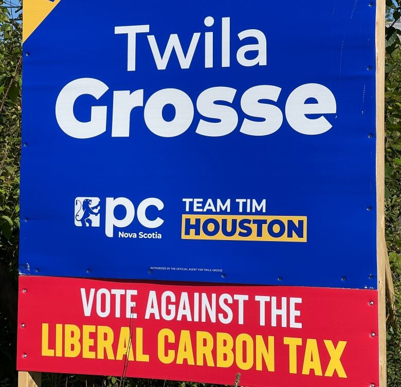 A blue election sign for Twila Grosse is shown. At the bottom it says 'Vote against the Liberal carbon tax.'