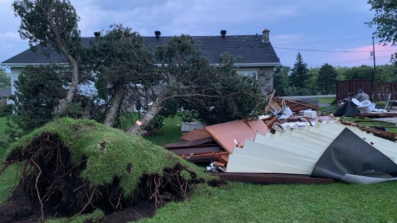 Trees uprooted and construction material blown over.