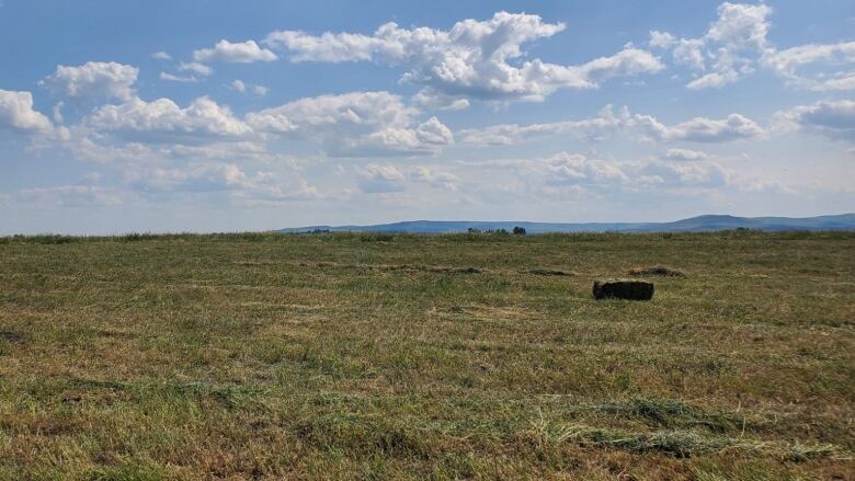 A small bale of hay sits on a large field owned by Tyler and Rachel Herbert. 