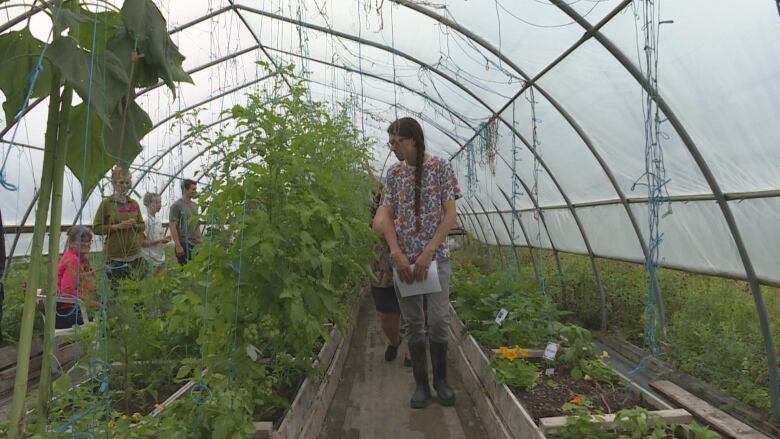 A person wearing rubber boots, light pants and a floral coloured shirt walks towards the photo looking at plants in a greenhouse. A group of four people are somewhat visible through the plants on the other side of the row in the greenhouse.