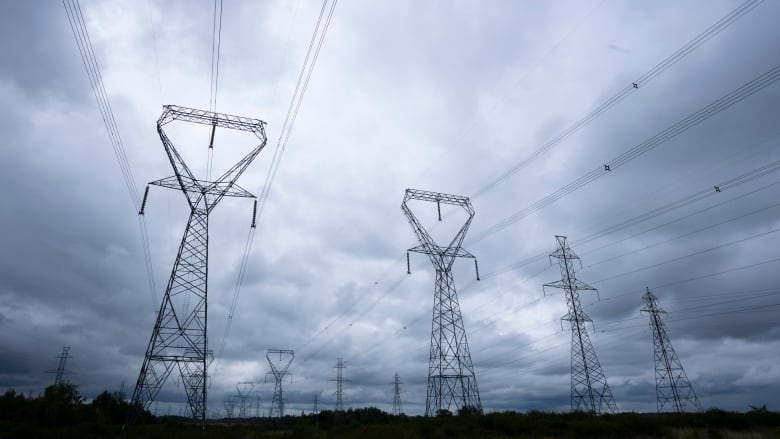 Hydro power lines are seen against a cloudy sky.