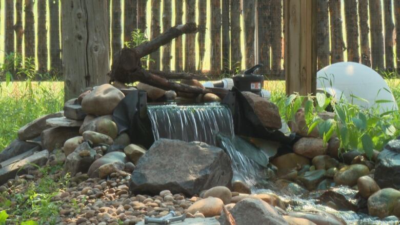 A stream of filtered water runs inside the Calgary Wildlife Rehabilitation Society's flight pen. 