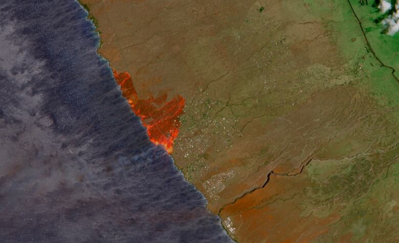 A satellite image shows wildfires.