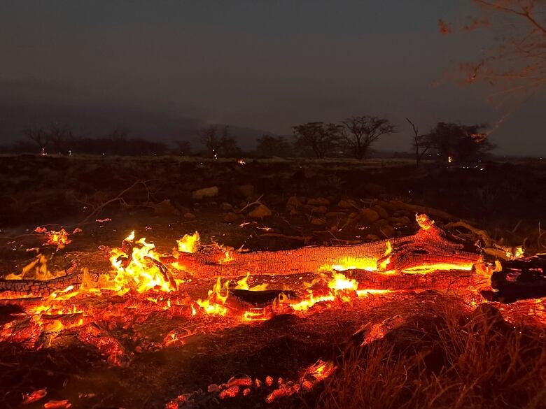 Wildfire burns at dawn in Kihei on Maui island in Hawaii.