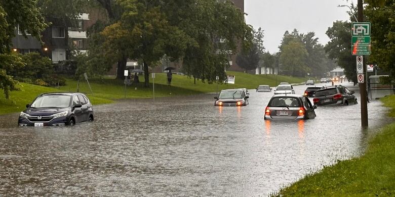 Cars submerged off Walkley Road in Ottawa on Aug. 10, 2023.