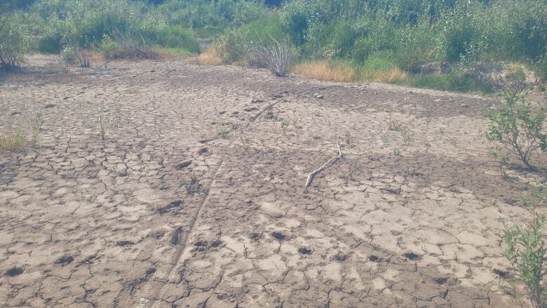 A dried up riverbed.