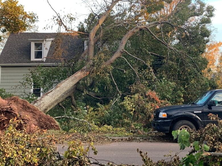 tree against house, due to tropical storm Fiona damage.