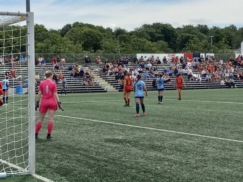 A soccer pitch filled with players.