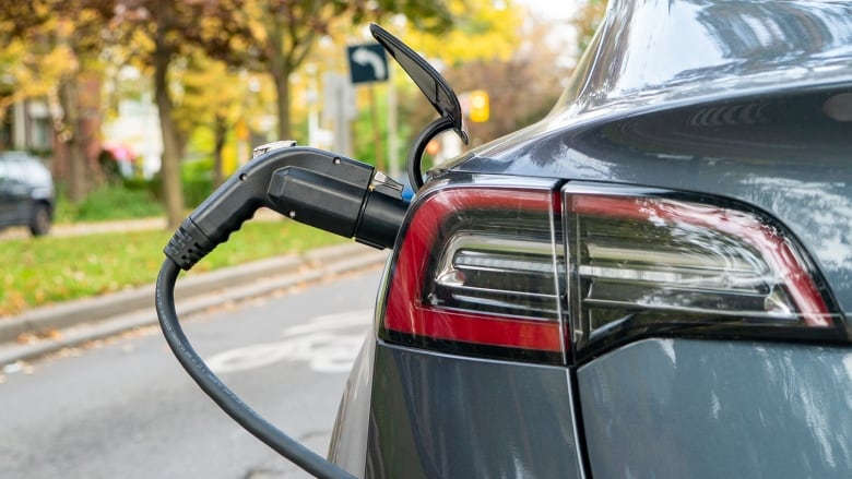 The back of a blue-grey car with a charger plugged into the left side, and a bike lane in the background.