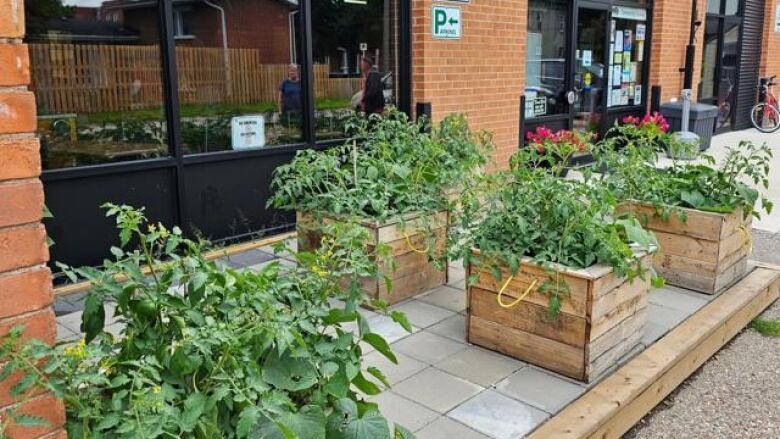 Planters outside a building.