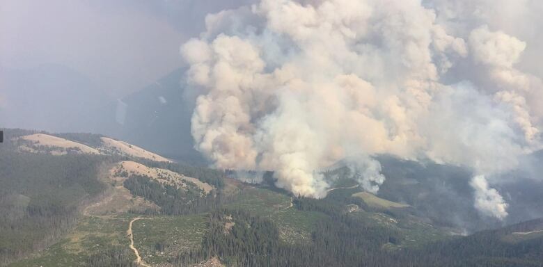 Smoke billows above a hillside covered in trees.