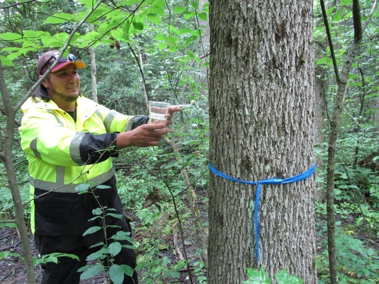 Man in forest.