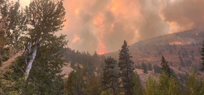 A wildfire burns over a mountain.