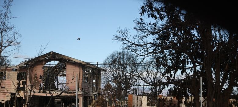 A burned building in the distance with a blue sky in the background. 