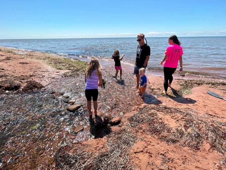 children and parents on beach with seaweed