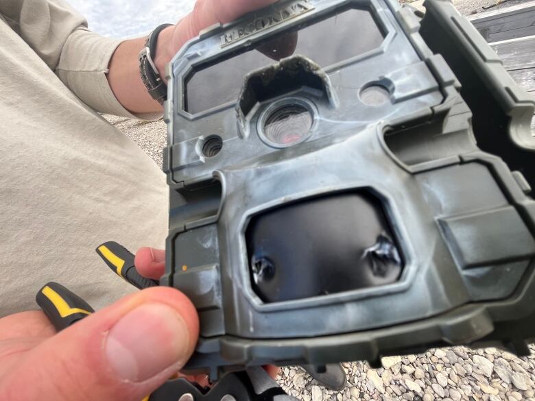 A wildlife camera bearing two round holes from the teeth of a polar bear.