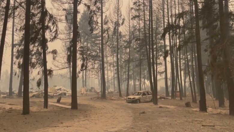 A burned car sits amongst blacked trees and an ashy sky in Scotch Creek, B.C. following a massive wildfire that has forced hundreds from their homes.